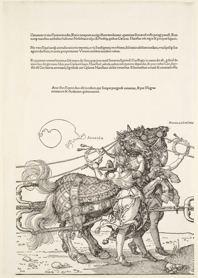  av Albrecht Dürer