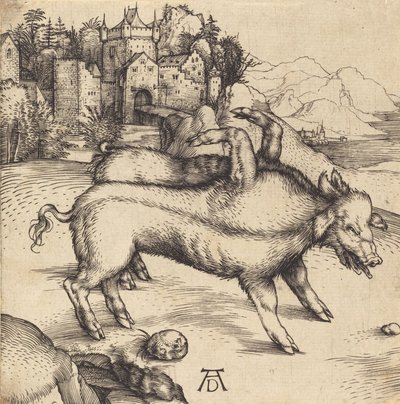 Den monstrøse grisen fra Landser, sannsynligvis 1496. av Albrecht Dürer