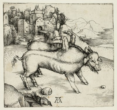 Den monstrøse purken til Landser av Albrecht Dürer