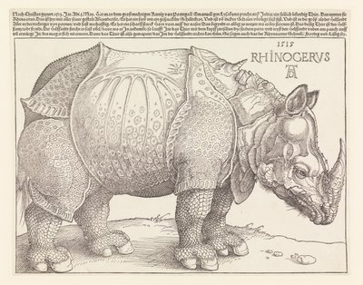 Neshornet av Albrecht Dürer