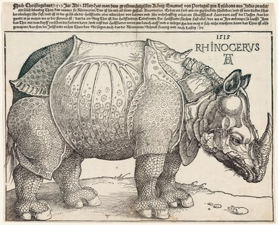 Neshornet av Albrecht Dürer