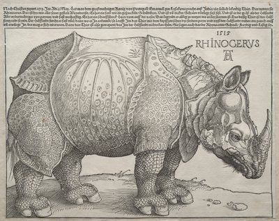 Neshornet av Albrecht Dürer