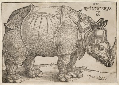  av Albrecht Dürer