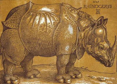 Neshornet, 1515. av Albrecht Dürer