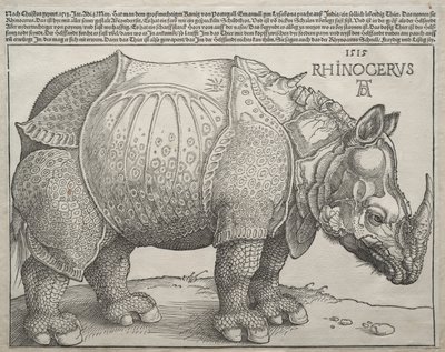 Neshornet, 1515. av Albrecht Dürer