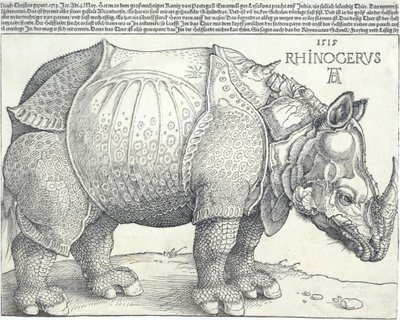 The Rhinoceros, 1515., 1515. av Albrecht Dürer