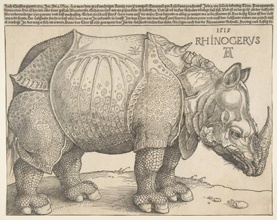 Neshornet.n.d. av Albrecht Dürer