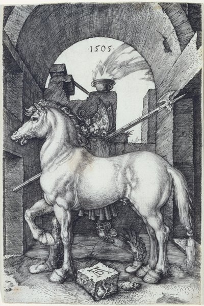 Den lille hesten, 1505 av Albrecht Dürer