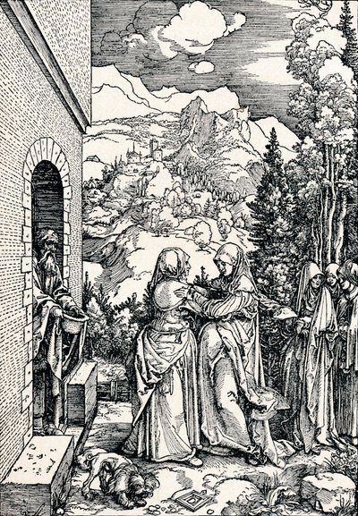 The Visitation, 1506 1906 av Albrecht Dürer