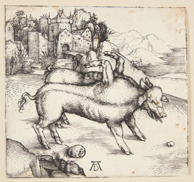 Den monstrøse purken til Landser av Albrecht Dürer