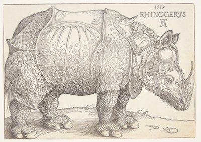 Neshornet av Albrecht Dürer