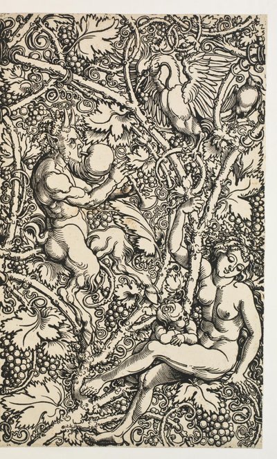 To design for billedvev med satyrfamilie av Albrecht Dürer