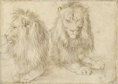 To sittende løver, 1521 av Albrecht Dürer