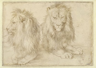  av Albrecht Dürer