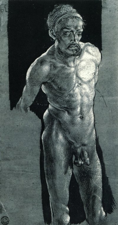  av Albrecht Dürer