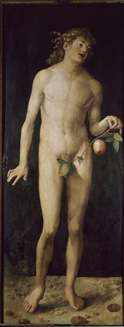 Adam (olje på tre av Albrecht Dürer