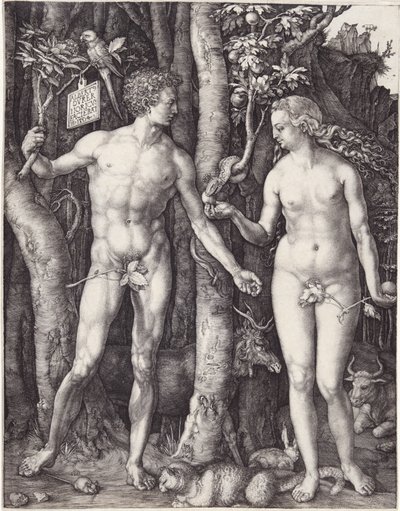 Adam og Eva, pub. 1504 (gravering) av Albrecht Dürer