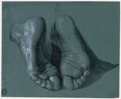Etude de pieds - Study of Two Feet - Tegning av Albrecht Durer (1471-1528), Akvarell, hvit farge, svart kritt på papir, c1508 (17,6x21,6cm) - Museum Boijmans Van Beuningen, Rotterdam av Albrecht Dürer