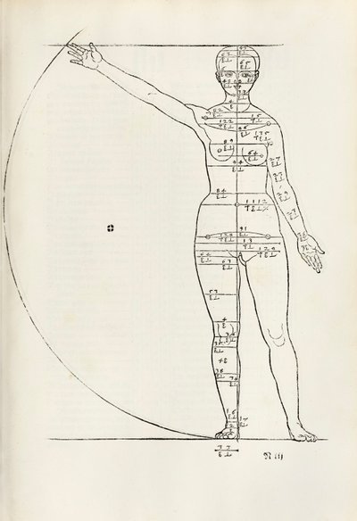 Kvinnelig anatomisk tresnitt fra "Herin er forstått fire bøker av menneskelige proporsjoner" av Albrecht Dürer