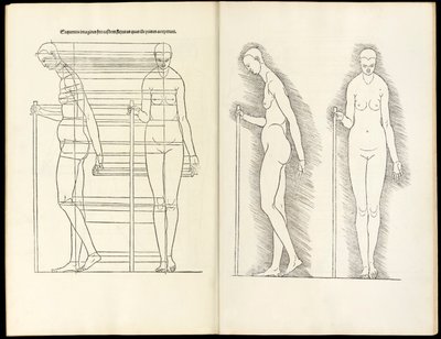 Kvinne med stav, anatomisk tresnitt fra Her er fire bøker av menneskelig proporsjon, 1528 av Albrecht Dürer