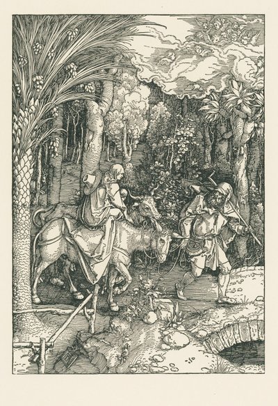  av Albrecht Dürer or Duerer
