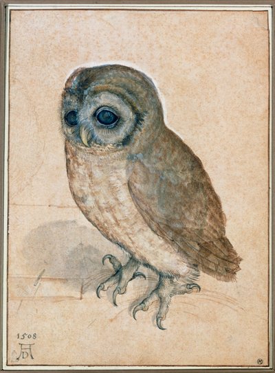  av Albrecht Dürer or Duerer