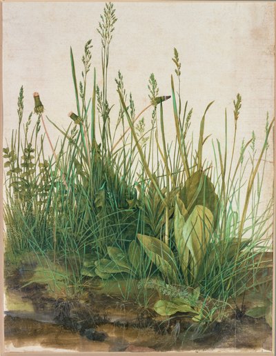  av Albrecht Dürer or Duerer