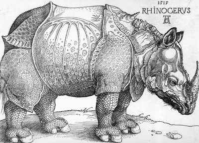 Neshorn av Albrecht Dürer