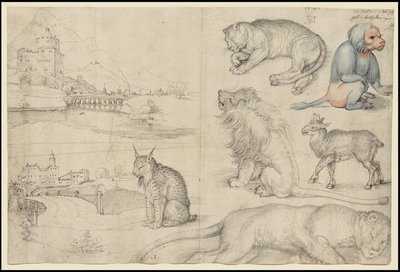 Skisser av dyr og landskap, 1521 av Albrecht Dürer