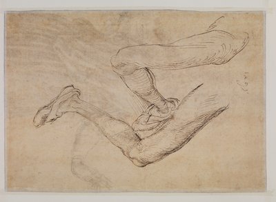 Studie av et venstre ben fra to synspunkter av Albrecht Dürer