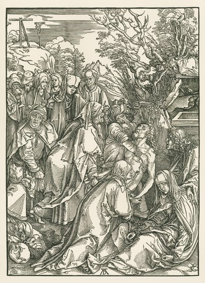  av Albrecht Dürer or Duerer
