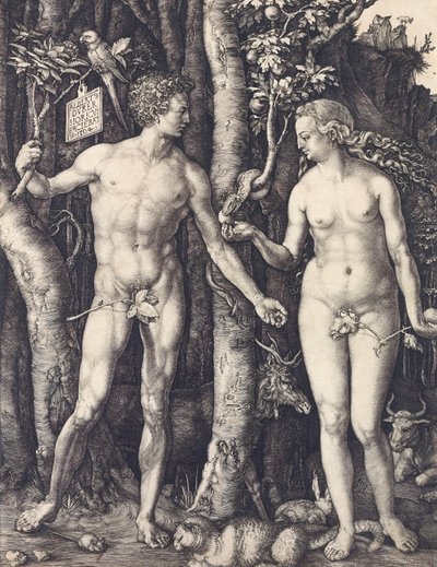 Menneskets fall av Albrecht Durer av Albrecht Dürer