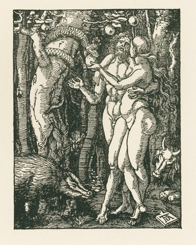  av Albrecht Dürer or Duerer