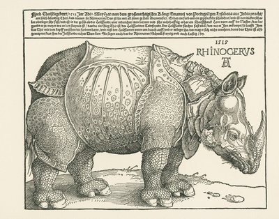  av Albrecht Dürer or Duerer