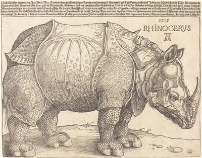 Neshornet av Albrecht Dürer