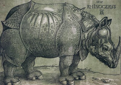 Neshornet, 1515 av Albrecht Dürer