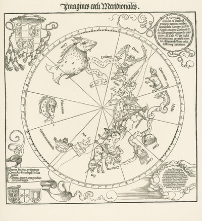  av Albrecht Dürer or Duerer
