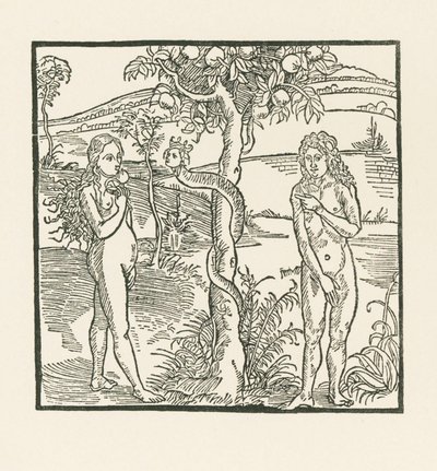  av Albrecht Dürer or Duerer
