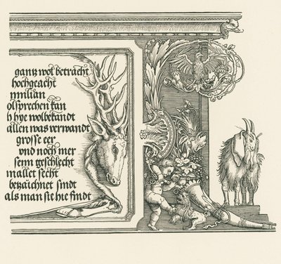  av Albrecht Dürer or Duerer