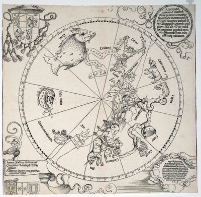 Ukjent bilde av Albrecht Dürer