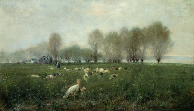 Kalkuner på landsbygda ved solnedgang (olje på lerret) av Alceste Campriani