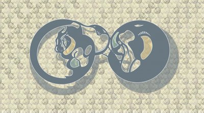  av Alejandra Winkhaus