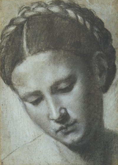 Et kvinnehode med flettet hår (kull og hvitt kritt på carta azzura) av Alessandro Bonvicino Moretto