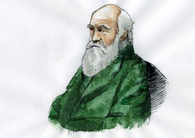 Portrett av Charles Darwin - Portrett av den engelske naturforskeren Charles Darwin (1809-1882) Illustrasjon av Alessandro Lonati