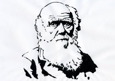 Portrett av Charles Darwin - Portrett av den engelske naturforskeren Charles Darwin (1809-1882) Illustrasjon av Alessandro Lonati