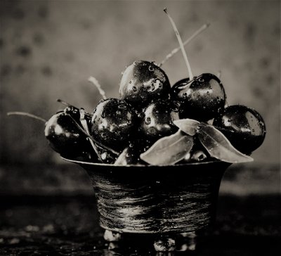 Kirsebær, 2019, (fotografi) av Alex Caminker