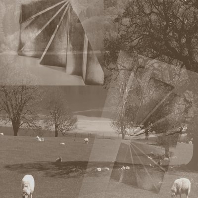 Sau, 2019,(blandet media, collage;funne objekter) av Alex Caminker