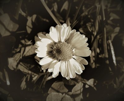 Uten tittel, 2019, (fotografi) av Alex Caminker