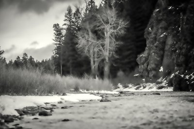 aksenter,2019,(fotografi) av Alex Caminker
