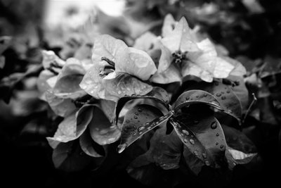 cluster,2019,(fotografi) av Alex Caminker
